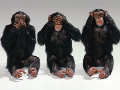 See-no-evil-hear-no-evil-speak-no-evil-monkeys-14750406-1600-1200.jpg